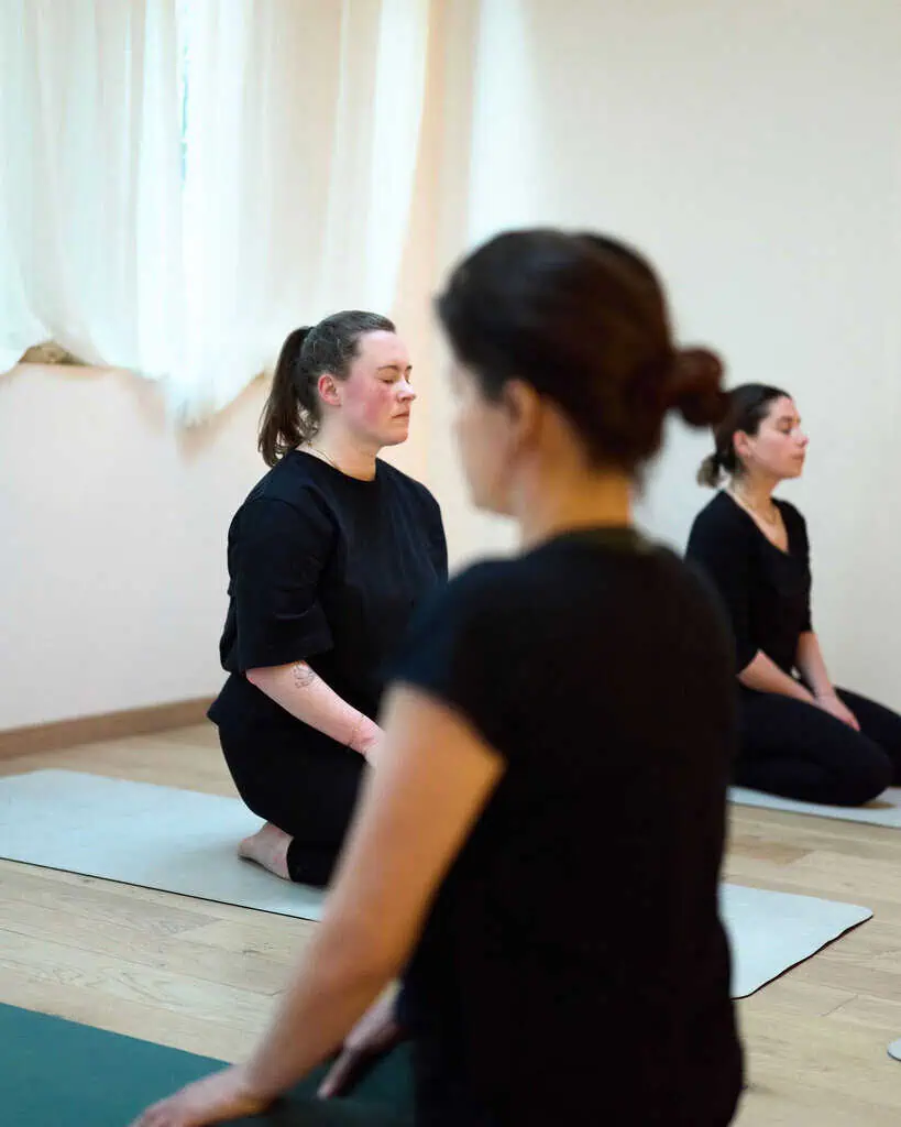 Studio Sauvage Yoga Aérien